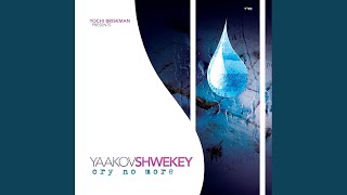 Video thumbnail of "Yaakov Shwekey - בטוח אני Batuach Ani"