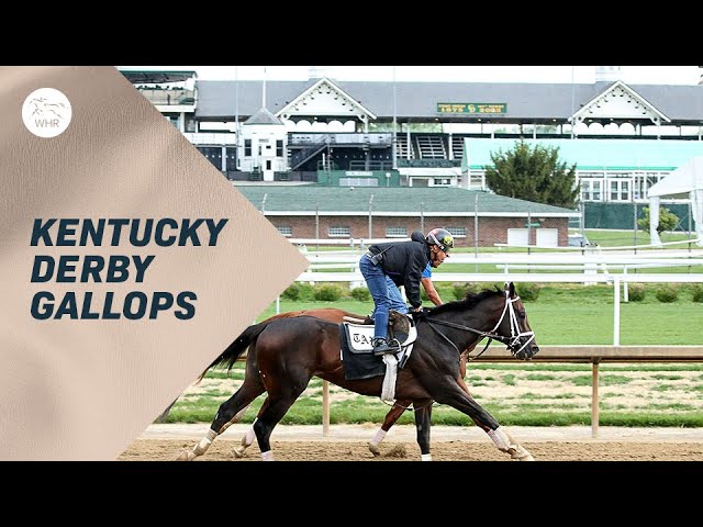 Meet the Contenders: Kentucky Jockey Club