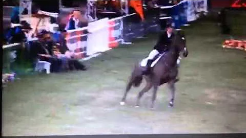 Cheltenham Melody Matheson