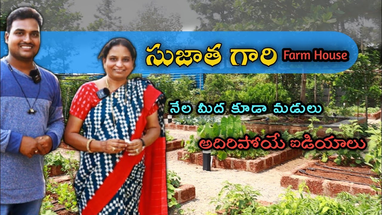 సుజాత గారి farm house చూడ్డానికి రెండు కళ్ళు సరిపోవు #gardening