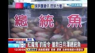 中天新聞》「紅魔鬼」釣殺令搶救日月潭總統魚