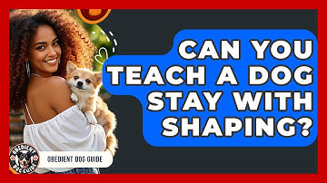 Can You Teach A Dog Stay With Shaping? - Obedient Dog Guide