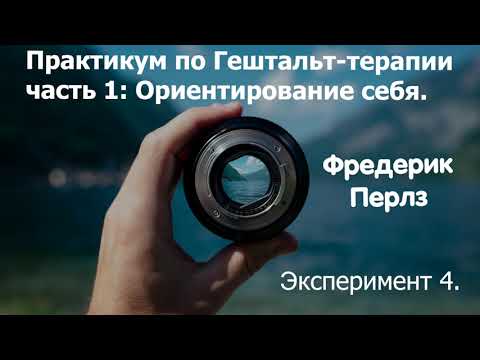 Практикум по гештальт-терапии.