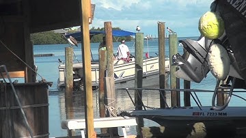 Silver Palm Marine - a Conch Records / KeysVideoDirectory.com Local Marina Recognition
