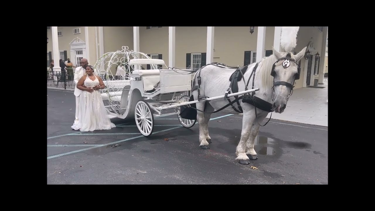 Cinderella Carriage at The Drexelbrook