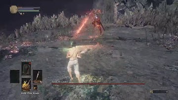 (segmented) SL1 no sprint/roll/block/parry Soul of Cinder