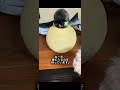 側溝に落ちていた仔猫を保護した時のお話です。愛犬、愛猫と仲良しです♪#保護猫#cat #トイプードル #仔猫 #犬と猫 