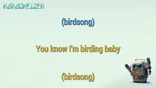 Birding - Swet Shop Boys - Karaoke