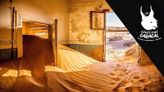 The coming deserts of disorder | Professor Koos Malan