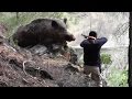 Dev Gibi Azılı Domuz Avı Wild Boar Hunting