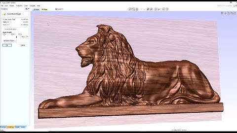 Vectric Aspire Lion King 3D relief and Tool- paths HOW TO
