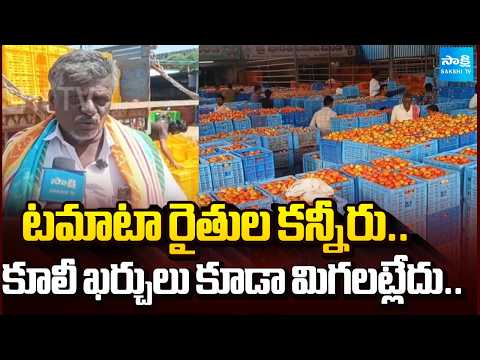 టమాటా రైతుల కన్నీరు.. కూలీ ఖర్చులు కూడా మిగట్లేదు..!Tomato Farmers Suffer Massive Losses | Sakshi Tv - SAKSHITV