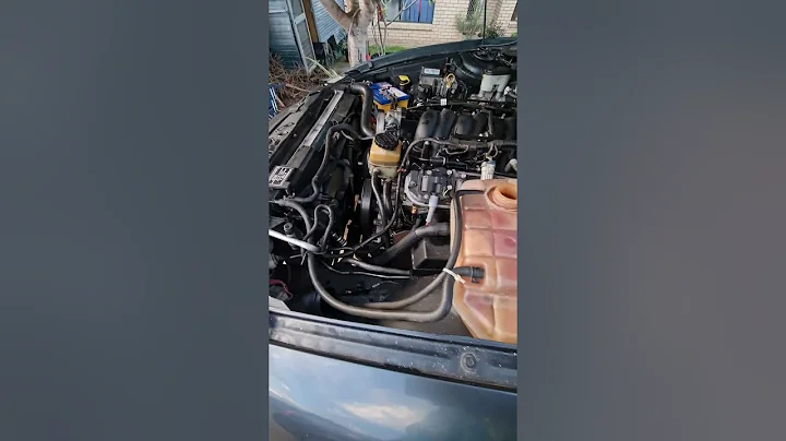 Holden vx ls1 cam swap first startup untuned. #briantooleyracing #btrnsr  #holdenls1 #workcar