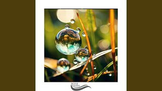 Melancholic Serenade of Tranquil Reflections and Blissful Melodies