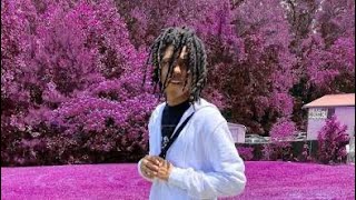 Celebrity Sofaygo - Lost and Found (Slowed) Net Worth