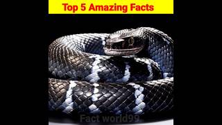 Top 5 Amazing Facts||Amazing Facts||Mind Blowing Facts||Random Factsshorts ytshorts