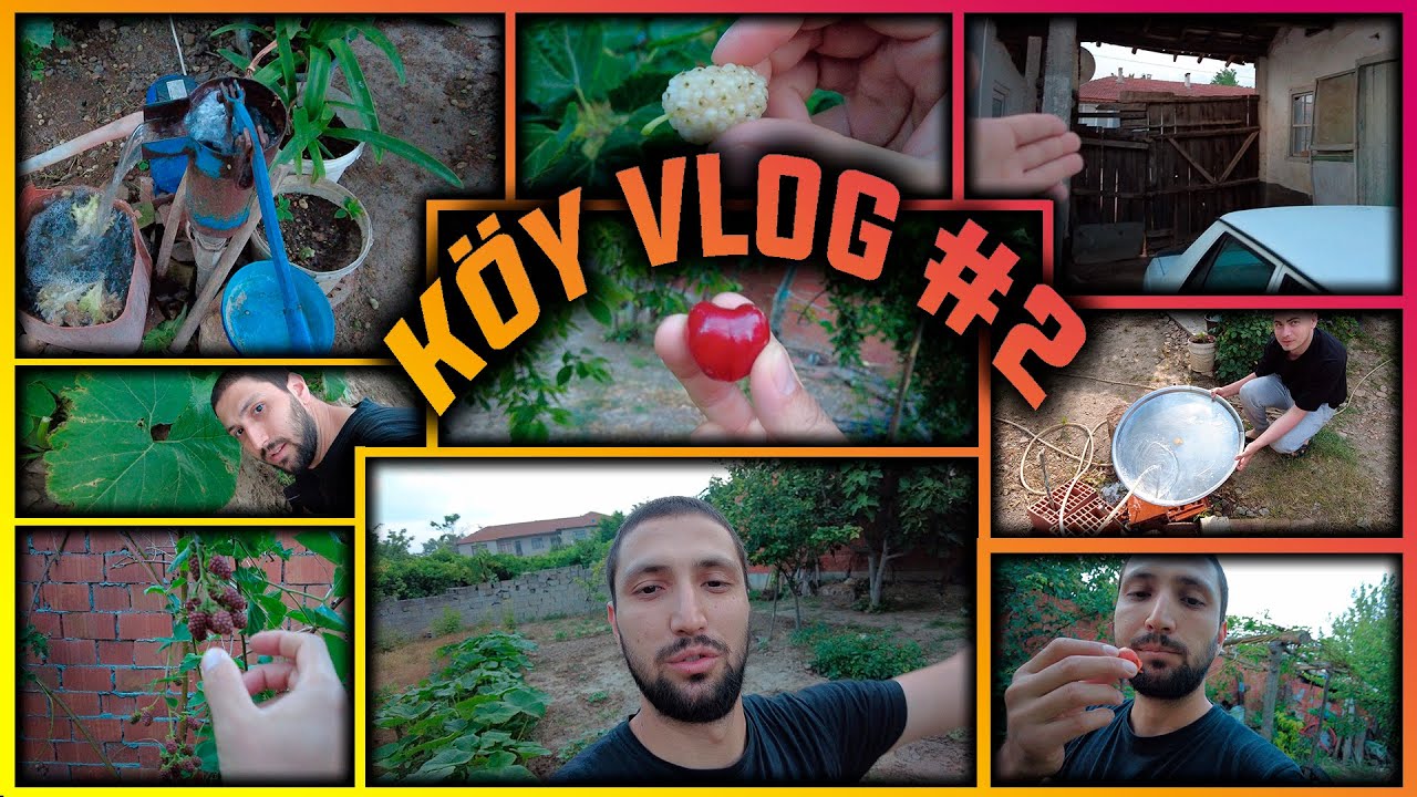 KÖYDE BİR GÜN GEÇİRMEK #2 - Bursa, Karacabey, Bakırköy