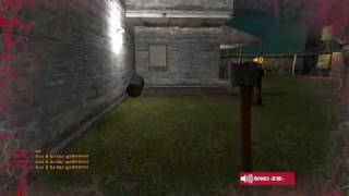 Weird ZP:S - Zombie/axe glitch