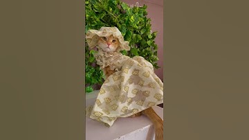 Lorem Ipsum is simply dummy text of the printing and typesetting industry. Lorem Ipsum has been