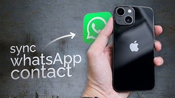 How to Sync WhatsApp Contact to iPhone (tutorial)