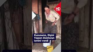 Diş Hekiminin Ismini Kuzusuna Verdi - Denizli Haberleri - Haberdeni̇zli̇