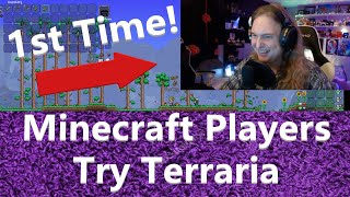 Minecraft Players Try Terraria!