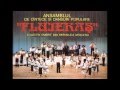 Orchestra Fluieraş -  Hora şi sârba