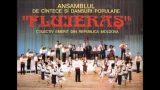 Orchestra Fluieraş -  Hora şi sârba