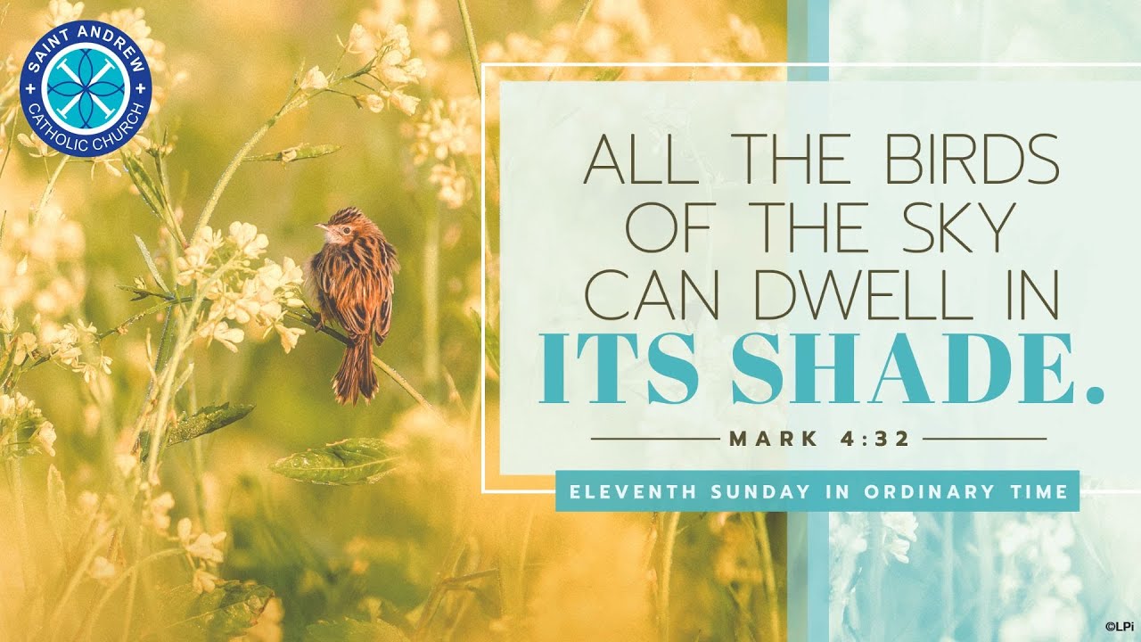 11th Sunday in Ordinary Time - June 16, 2024 - YouTube