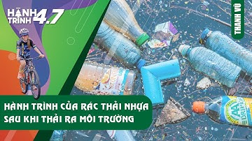 Hành trình của rác thải nhựa sẽ đi về đâu sau khi thải ra môi trường?