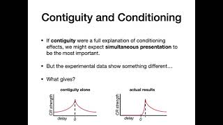 COG 266 - 17 Contiguity and Contingency
