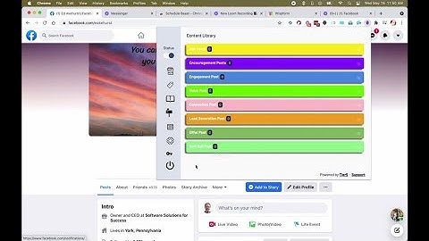 The Beast Review Demo - Facebook Post Automation Chrome Extension