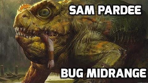 Channel Pardee Time - Standard BUG Midrange (Match 2)