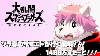 【スマブラ】ソラで魔境へ向かうよ！！！#スマブラ #縦型配信