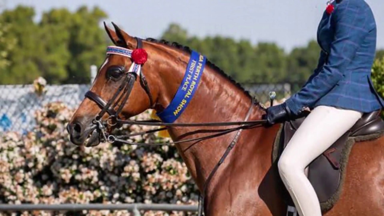 MIRA COUNT YA BLESSINGS FOR SALE