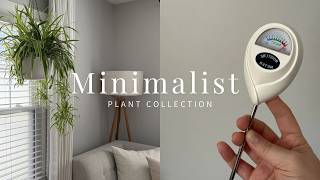 Minimalist plant collection & care