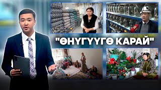 видео:  картинка: