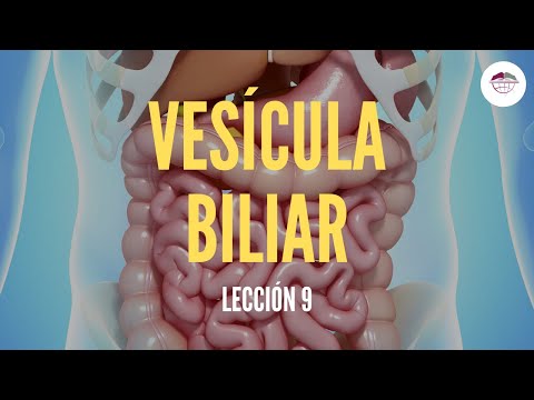 Video: ¿En qué célula se encuentra la vesícula?