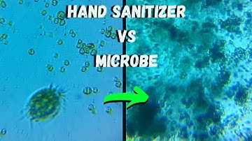 Microbe vs Hand Sanitizer