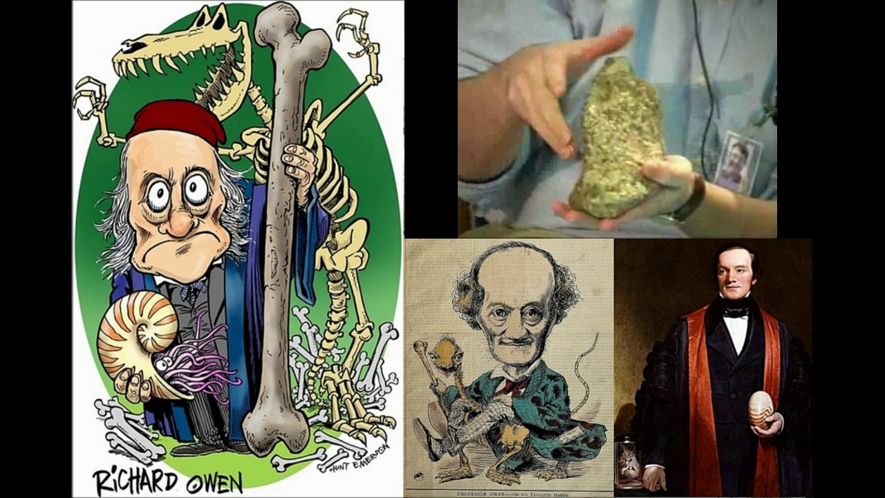 Richard Owen's Terrible Lizards - Paul Barrett