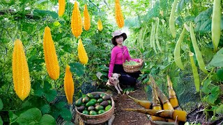 Download Lagu Country Girl Harvests Yardlong Beans, Bamboo Shoots, Avocados, Bitter Melon Goes To Market Sell,Farm MP3 Download Lagu Country Girl Harvests Yardlong Beans, Bamboo Shoots, Avocados, Bitter Melon Goes To Market Sell,Farm MP3