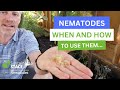 Nematodes why  how to use them