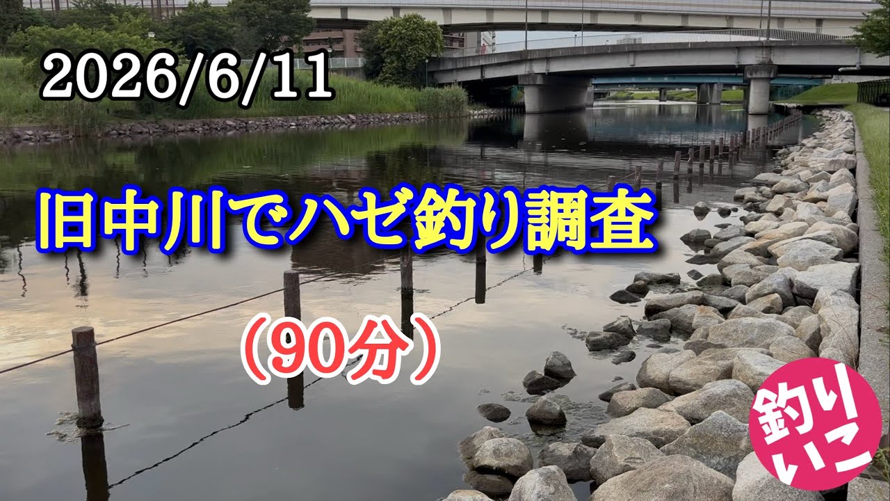 Goby fishing survey at the Old Nakagawa River, forced to quit