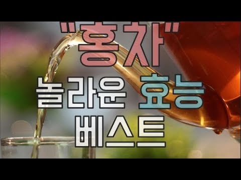 전세계인이 사랑하는 홍차, 홍차의 놀라운 효능 및 부작용 알아보기♥건강 정보♥