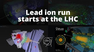 Lead-lead collisions start at the LHC after 5 years