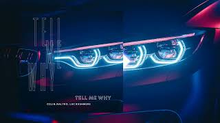 Ozlig, NALYRO, Luc Rushmere - Tell Me Why ( Vizualizer )
