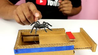 Easy to DIY Spider Scare Box from Cardboard