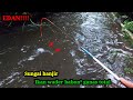 Gilasungai banjir mancing wader cukup di pinggiran joran lentur di hajar ikan wader babon