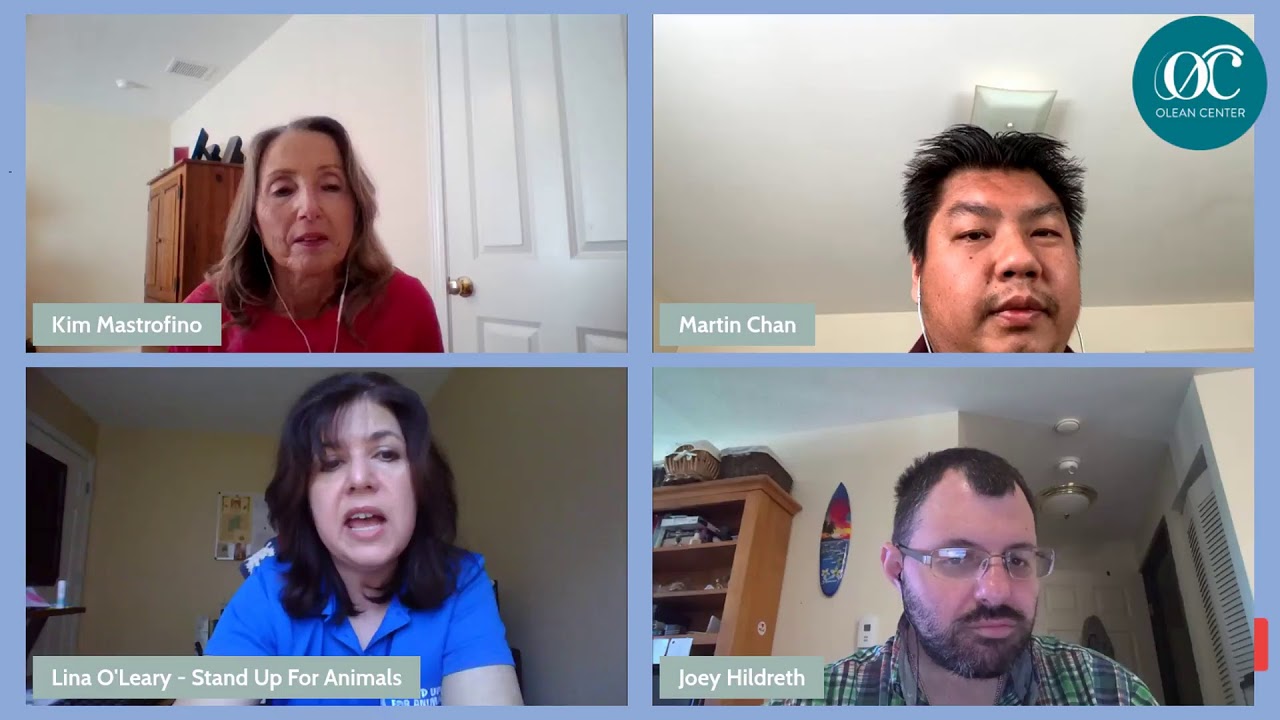 Lina O'Leary - Stand Up For Animals | On The Beat