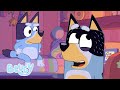 Papa ärgert Bluey und Bingo | Bluey - Deutsch Offizieller Kanal